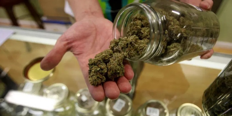 How to Choose an Online Medical Marijuana Dispensary