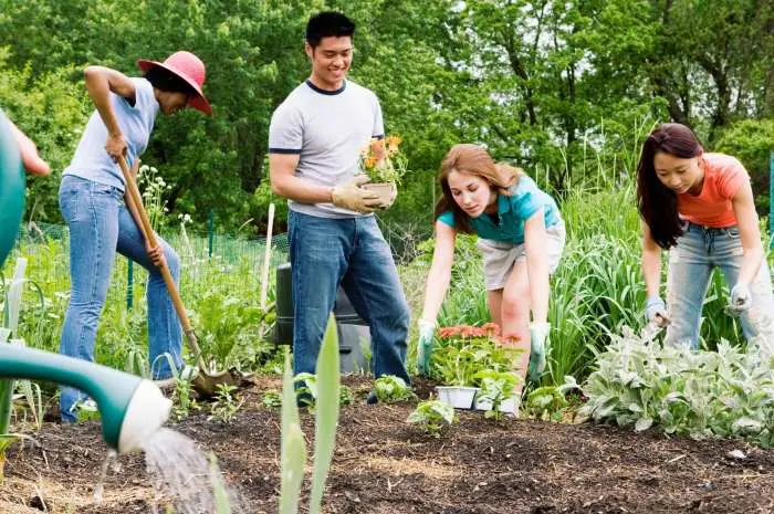 Sustainable Living, Eco-Friendly Habits for Everyday Life
